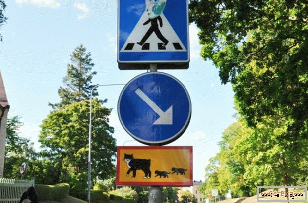 Знак особливих розпоряджень про які переходять дорогу кішках
