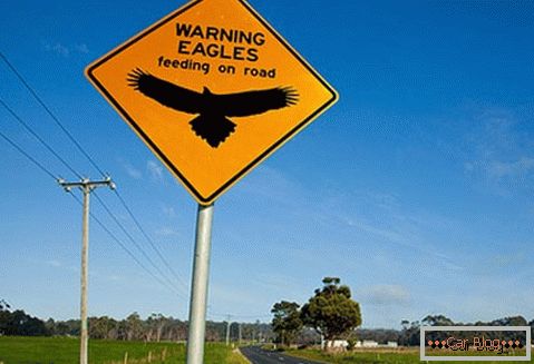 Попередження про можливість зіткнутися на дорозі з орлами